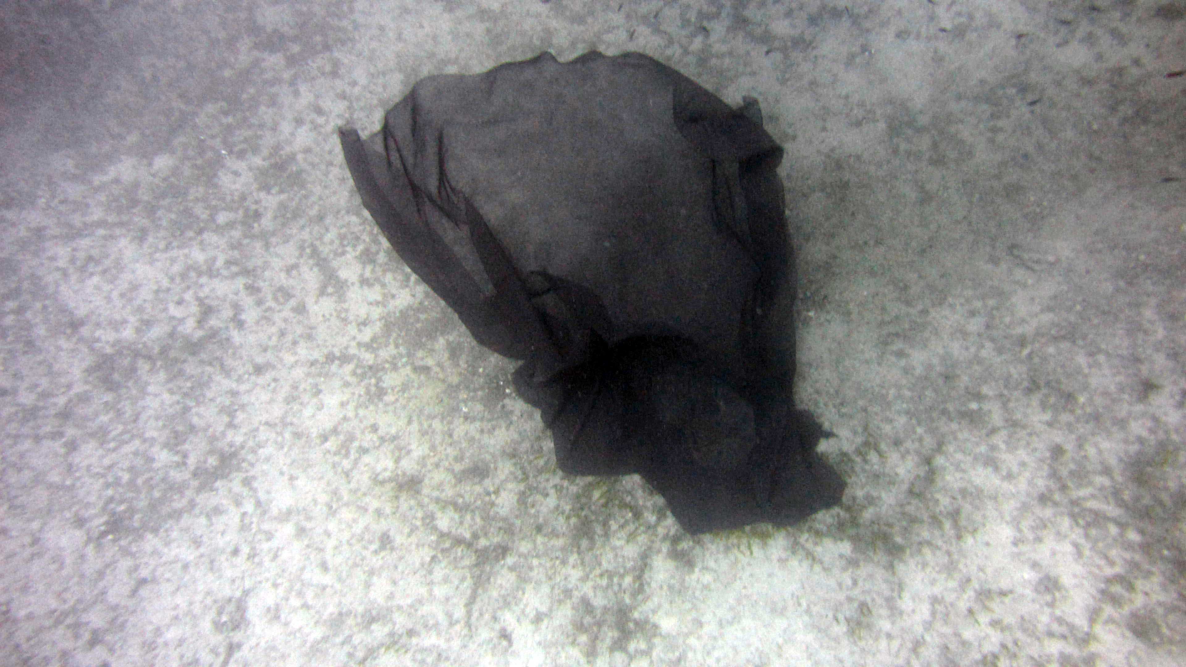 underwater veil1